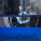 Flottement argenté - Transparence