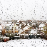 Hiver citadin - Transparence
