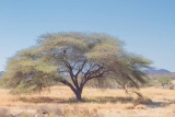 Sans titre - Paysages