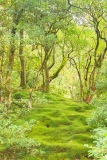Sans titre - Paysages