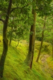 Sans titre - Paysages