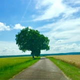 Sans titre - Paysages