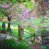 Bucolique - Paysages