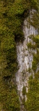 Déguisement - Le bois de la montagne